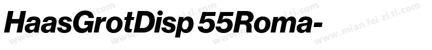 HaasGrotDisp 55Roma字体转换